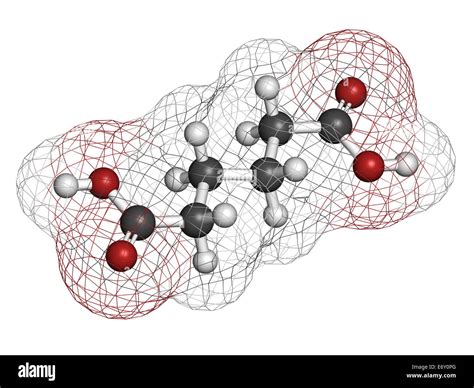  Adipic Acid: Um Aço de Alta Resistência na Produção de Nylon e Outros Polímeros!