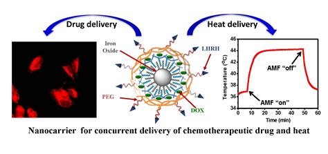 Magnetite Nanocrystals: A Revolution in Energy Storage and Magnetic Hyperthermia!