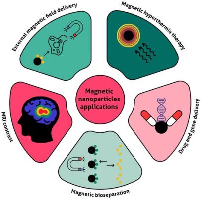 Magnetite Nanoparticles: A Versatile Solution for Magnetic Separation and Targeted Drug Delivery!