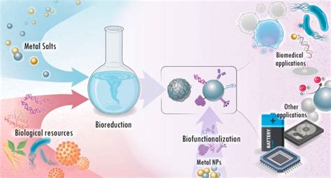  Rutenium Nanopartículas: Desvendando as Aplicações em Catálise e Biomedicina!