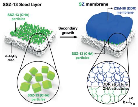 Zeolites para Catalisadores e Separações de Gases: Desvendando a Magia dos Pilares Porosos!